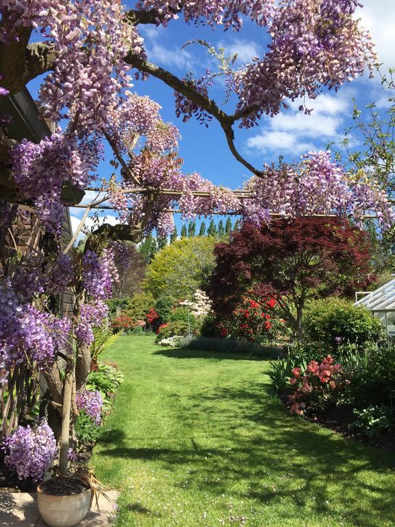 Hotel Rhododendron Garden Christchurch Exterior foto