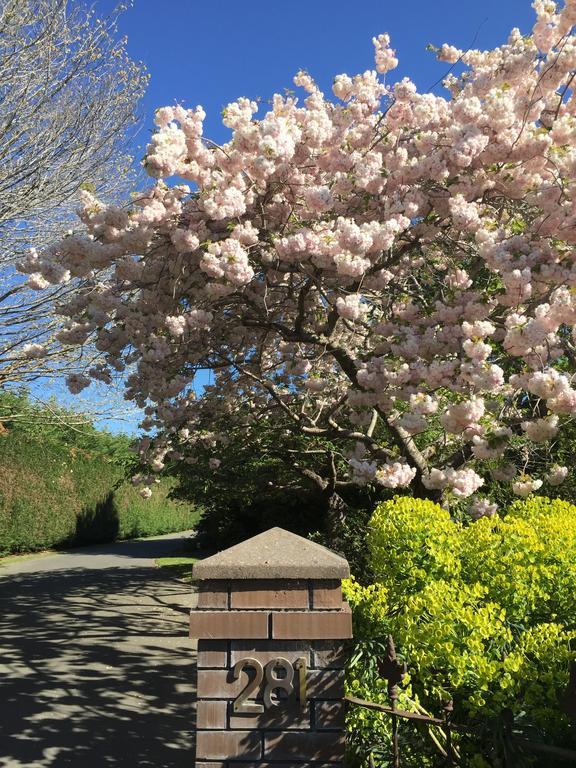 Hotel Rhododendron Garden Christchurch Exterior foto