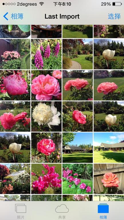 Hotel Rhododendron Garden Christchurch Exterior foto