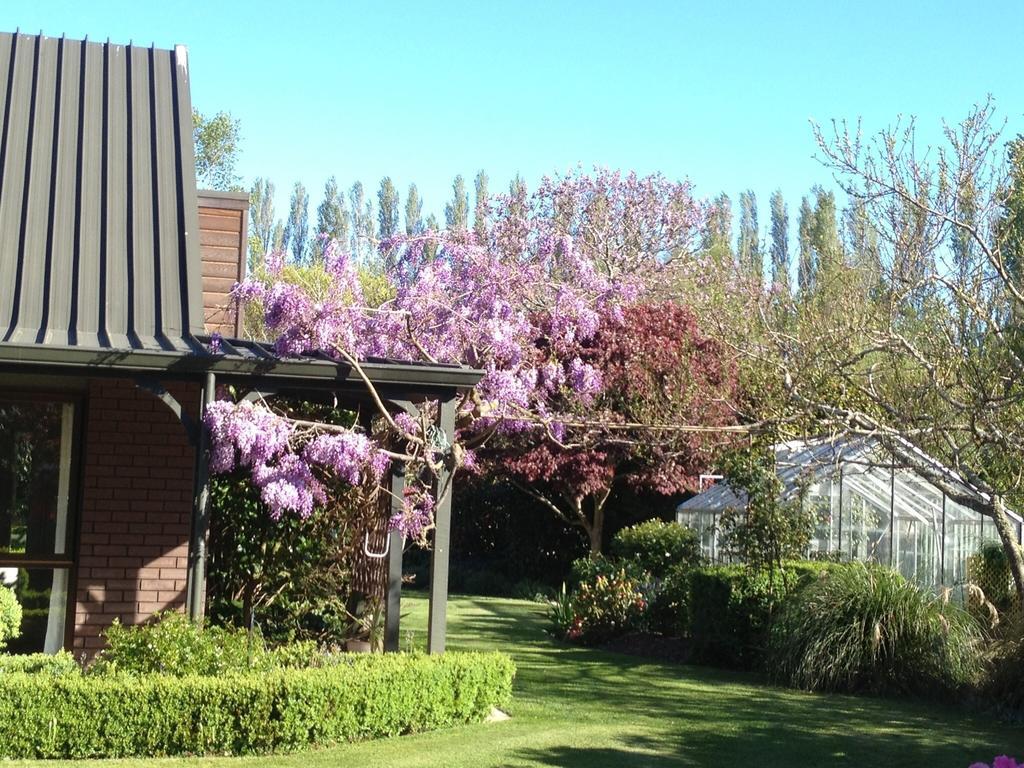 Hotel Rhododendron Garden Christchurch Zimmer foto