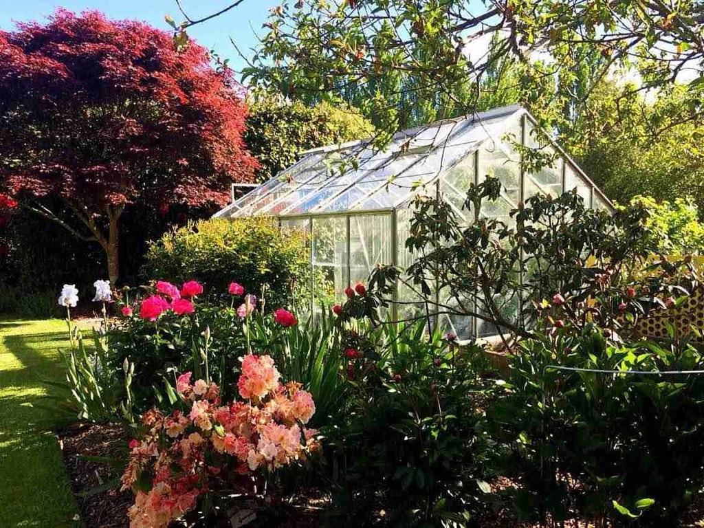 Hotel Rhododendron Garden Christchurch Zimmer foto