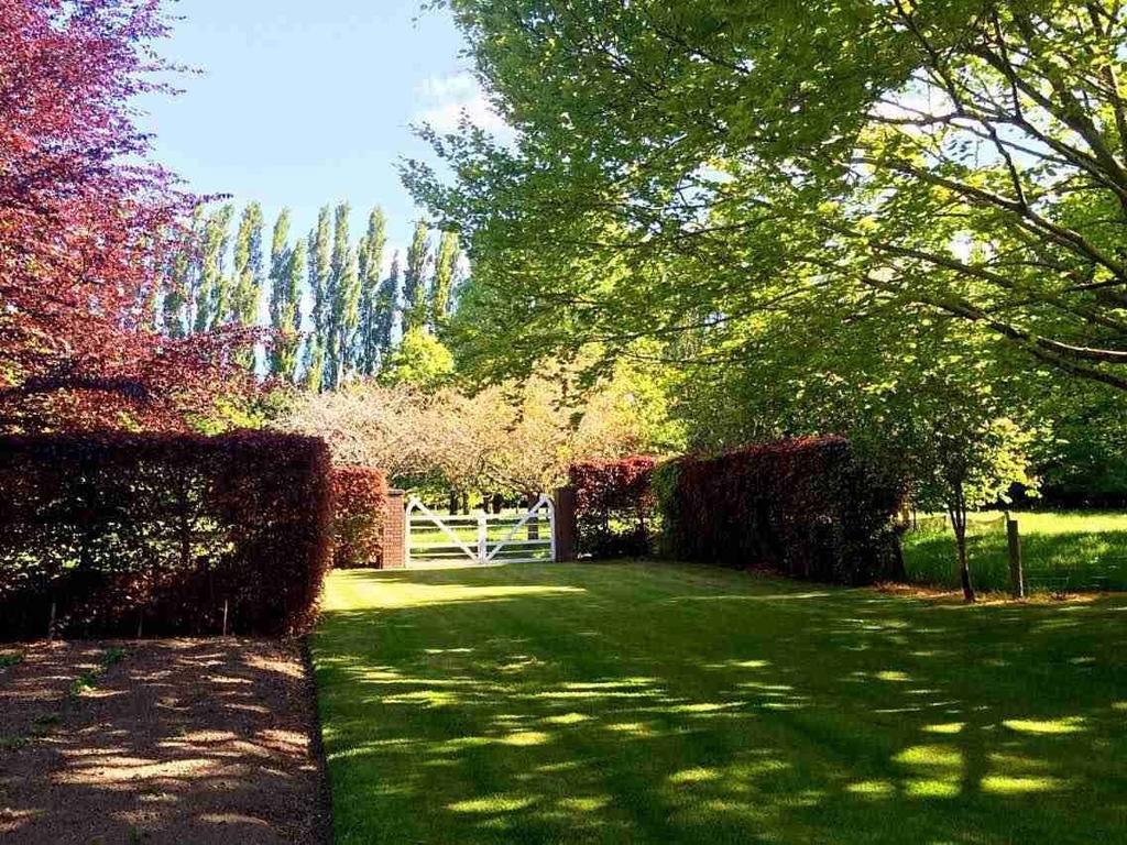 Hotel Rhododendron Garden Christchurch Zimmer foto