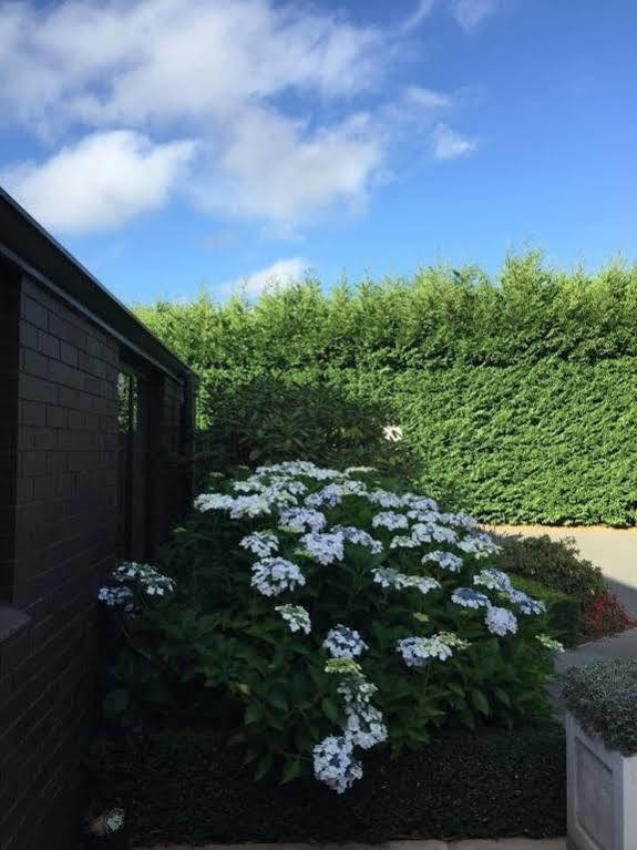 Hotel Rhododendron Garden Christchurch Exterior foto